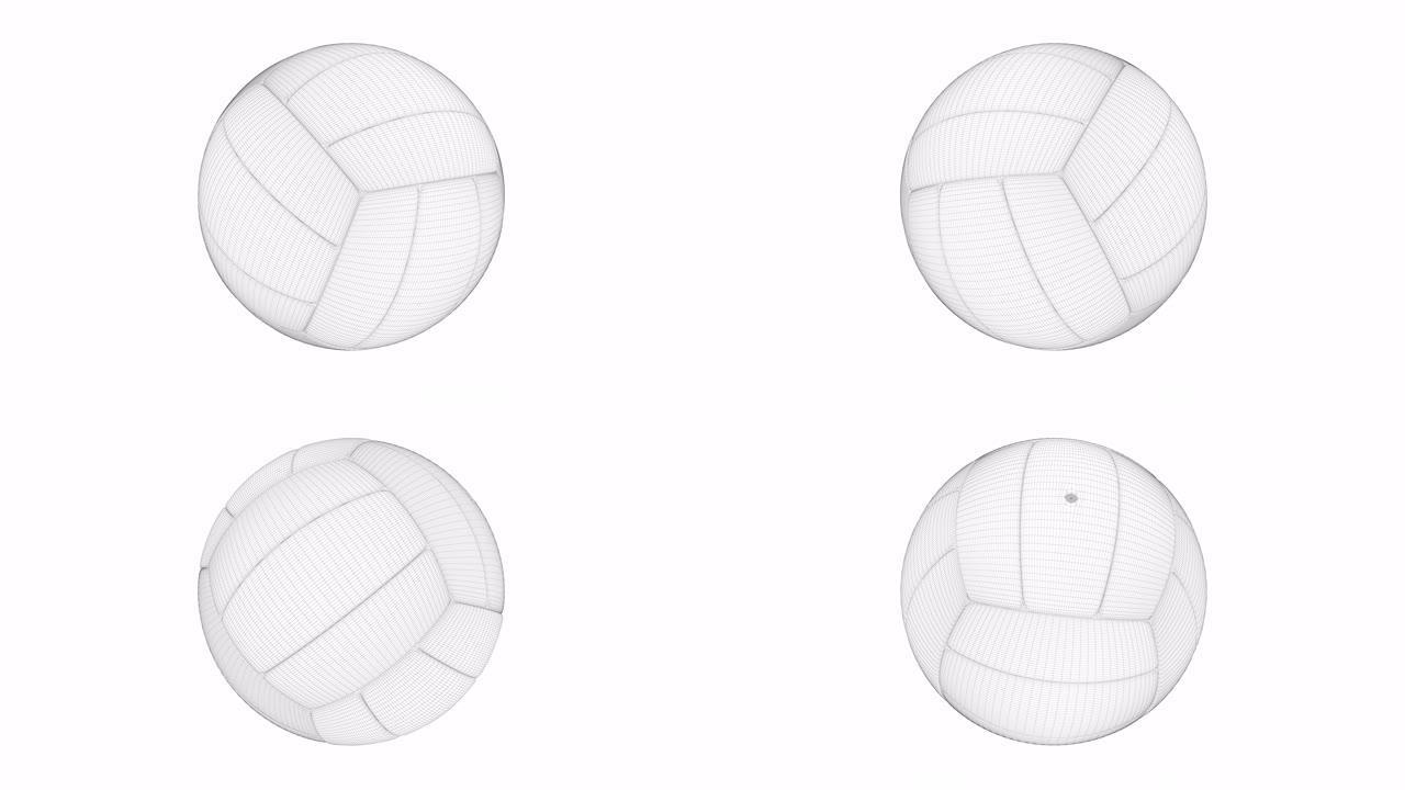 排球的三维模型排球旋转三维模型