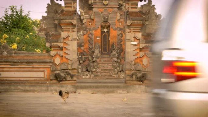 在印度尼西亚的巴厘岛，一只孤独的鸡走在印度教寺庙前