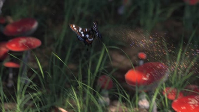 森林里的蝴蝶坐在蘑菇上