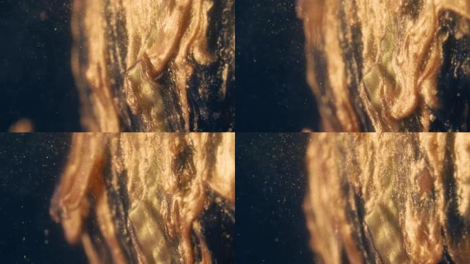 黑色背景上五颜六色的混乱，金色墨水颗粒在水中流动