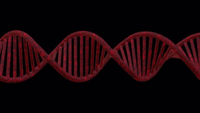 在黑色背景下旋转的DNA链-无缝循环