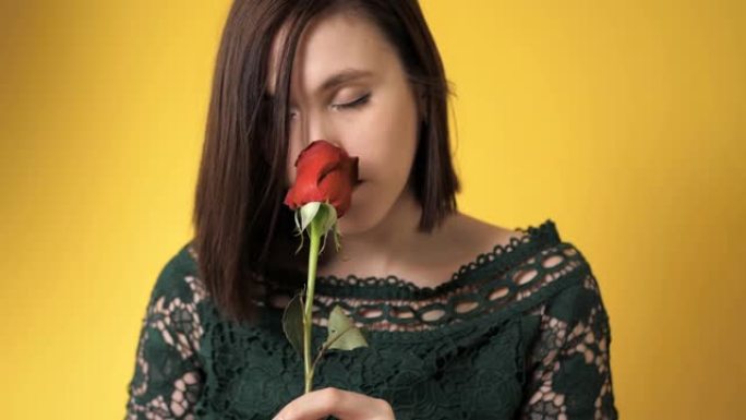 红玫瑰女孩若有所思地嗅着黄色背景上美丽的花朵。情人节，2月14日，生日，周年纪念日，第一次约会概念。