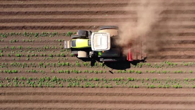 马铃薯田的农业机械在土地上耕作