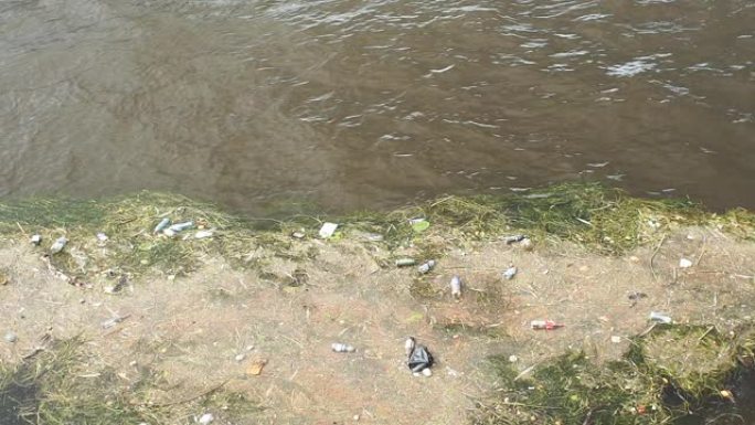被污染的河水中的塑料瓶。
