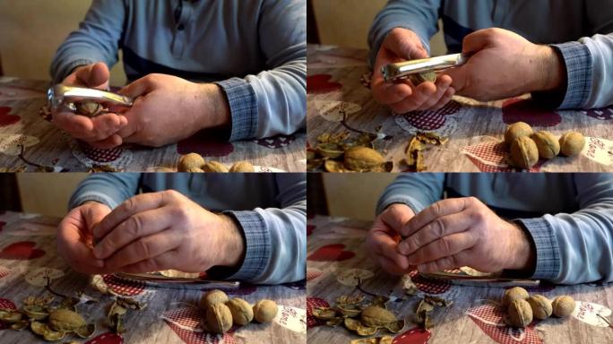 男人的手在家里用坚果饼干打碎整个核桃的特写镜头。人按压金属装置并从外壳中分离出内核螺母。干果收获，健