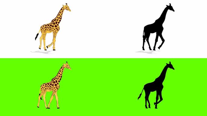 长颈鹿步行循环动画