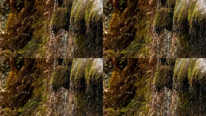苔藓植物和瀑布水滴