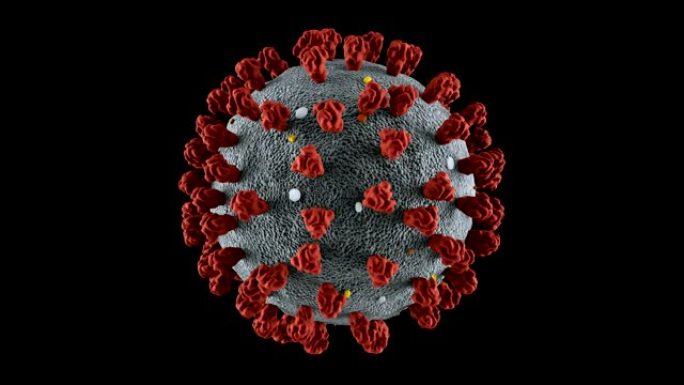 冠状病毒，可循环，包括阿尔法·香奈儿
