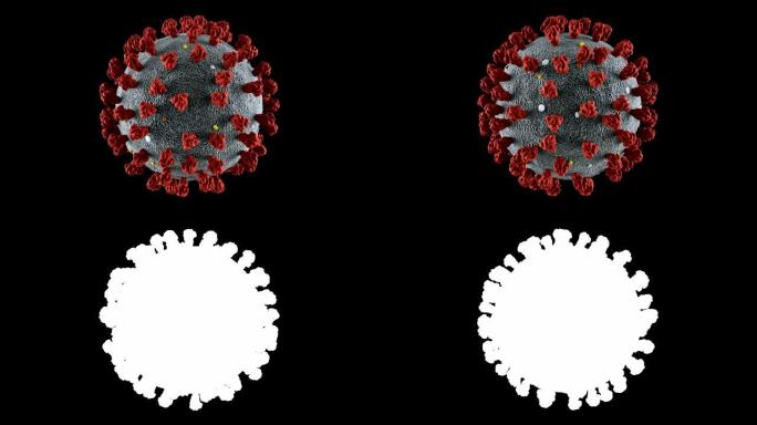 冠状病毒，可循环，包括阿尔法·香奈儿