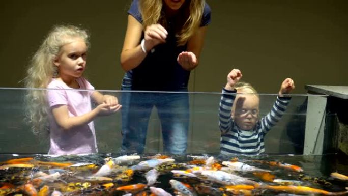 有孩子的女人在大水族馆里喂五颜六色的鱼。万向节运动