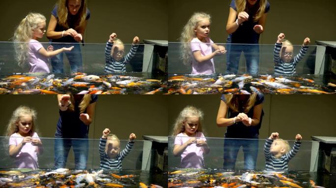 有孩子的女人在大水族馆里喂五颜六色的鱼。万向节运动