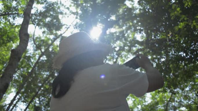 夏天戴着草帽的女植物学家在热带雨林里用手机拍照研究。