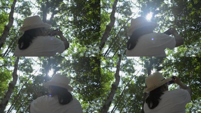 夏天戴着草帽的女植物学家在热带雨林里用手机拍照研究。