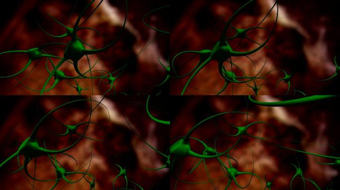3d渲染神经毛细胞