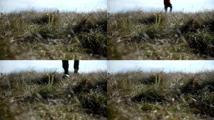 在无人聚焦的人影中，腿和人物的特写镜头在野草地上的人的地平线上奔跑