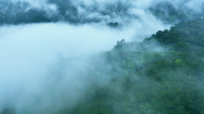 唯美意境的山顶雨雾仙境4K航拍