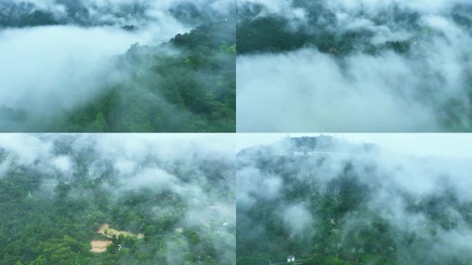 唯美意境的山顶雨雾仙境4K航拍