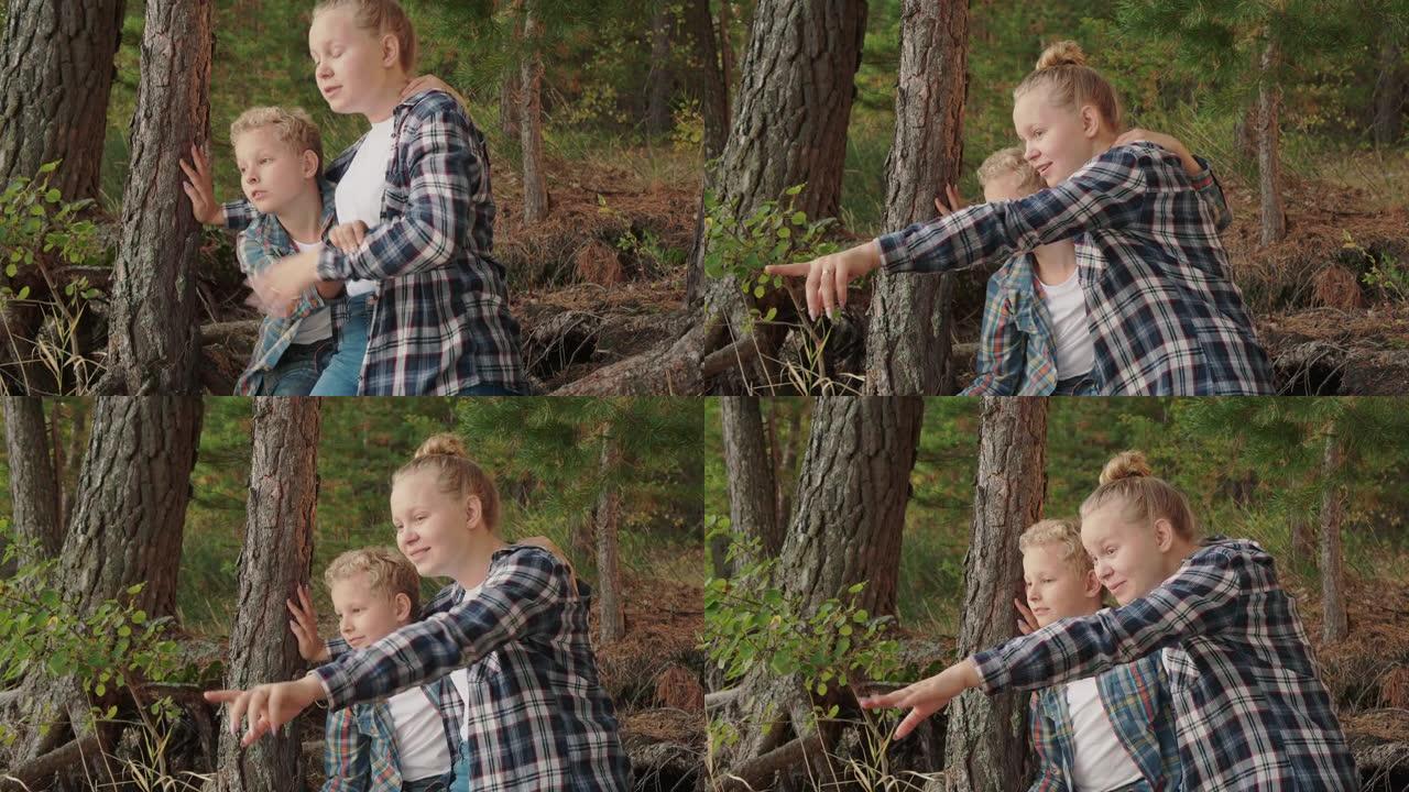 兴奋的男孩和女孩少年在夏天散步时看着森林自然。惊讶的哥哥ad姐姐在夏天的林地里看起来很有趣。针叶林中