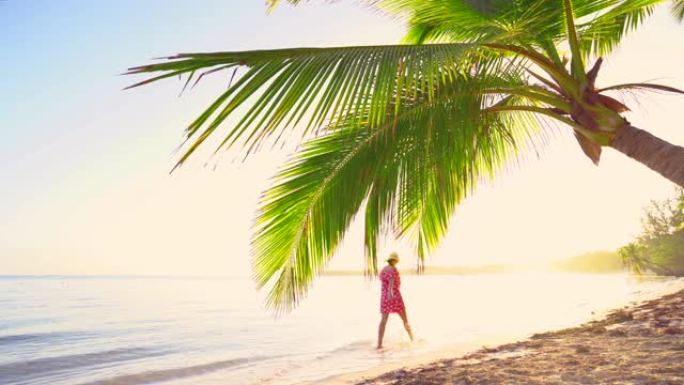 热带岛屿海滩和棕榈树上的日出。多米尼加共和国蓬塔卡纳