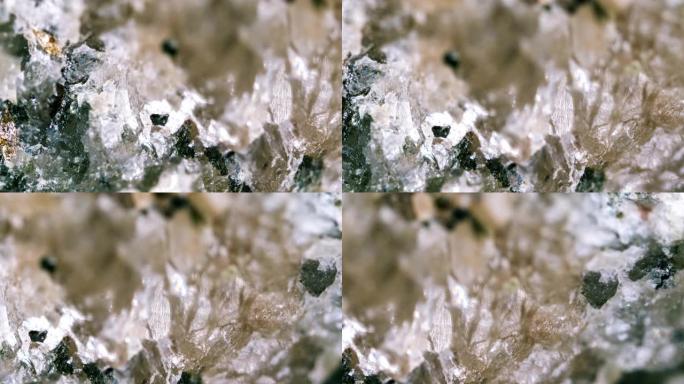 光学显微镜下的花岗闪长岩矿物样品