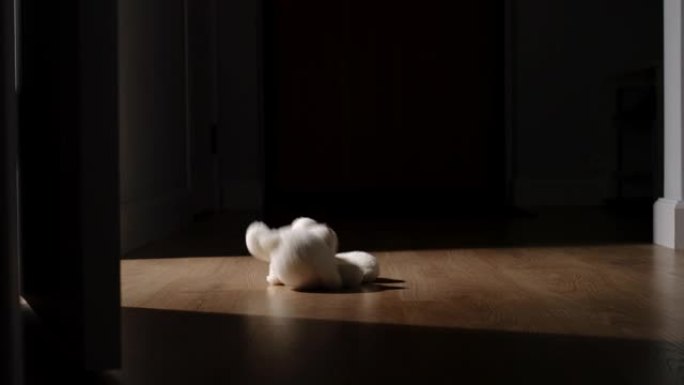 白色毛绒熊玩具在黑暗的房间里扔在地板上