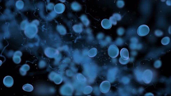 3D血细胞颗粒，病毒爆发抗体疫苗医疗保健概念。