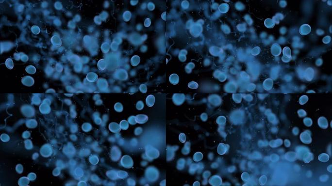 3D血细胞颗粒，病毒爆发抗体疫苗医疗保健概念。