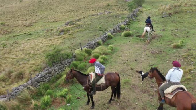 阿根廷高乔人带着狗在牧场草原上骑行