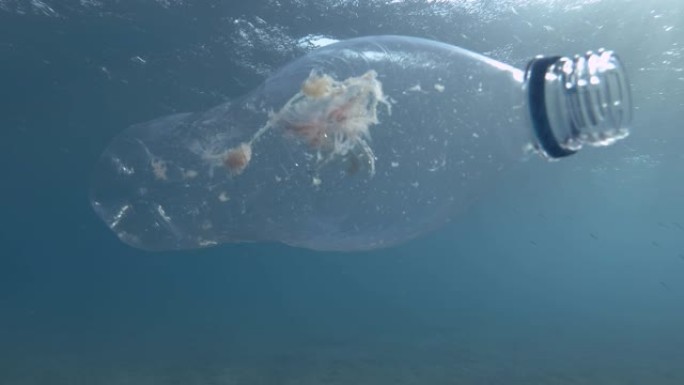 塑料污染，水母被困在塑料瓶中死亡。废弃的透明塑料瓶漂浮着死去的水母，在蓝色的水面下。地中海，欧洲。