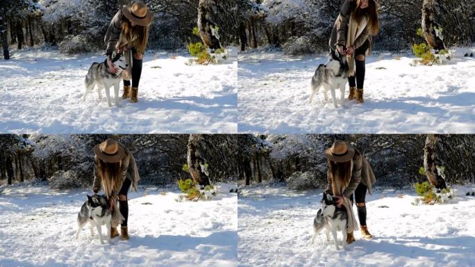 女人在森林的雪地上拥抱她的狗