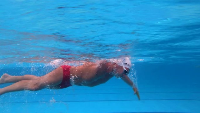 高级运动员在游泳池中进行自由泳游泳