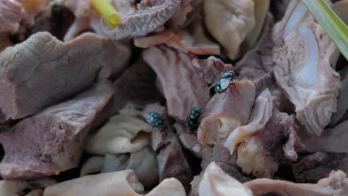 苍蝇蜂拥而至肉类熟食餐饮行业环境卫生