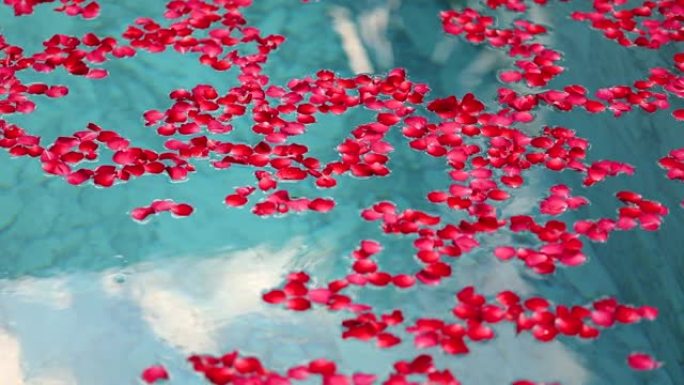浴缸装饰室内的水上红玫瑰花。