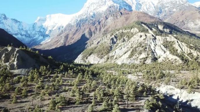 在尼泊尔喜马拉雅山马南山谷茂密的森林上空拍摄。后面的安纳普尔纳链尖锐而贫瘠的山峰。部分被雪覆盖。安纳