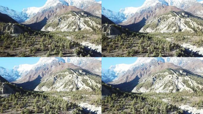 在尼泊尔喜马拉雅山马南山谷茂密的森林上空拍摄。后面的安纳普尔纳链尖锐而贫瘠的山峰。部分被雪覆盖。安纳