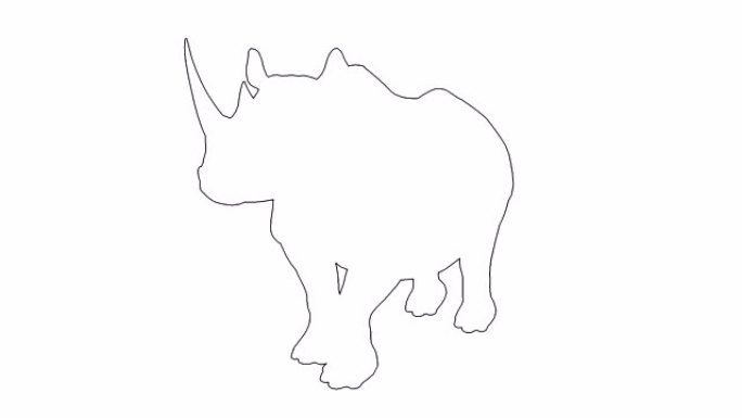 4k线动画-犀牛在白色屏幕上行走