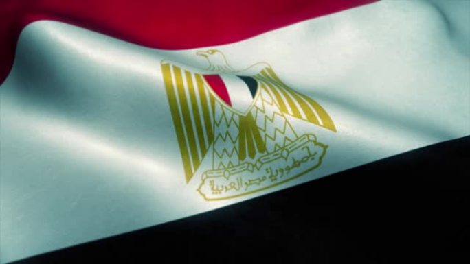 挥舞埃及国旗特写，可循环的3D动画