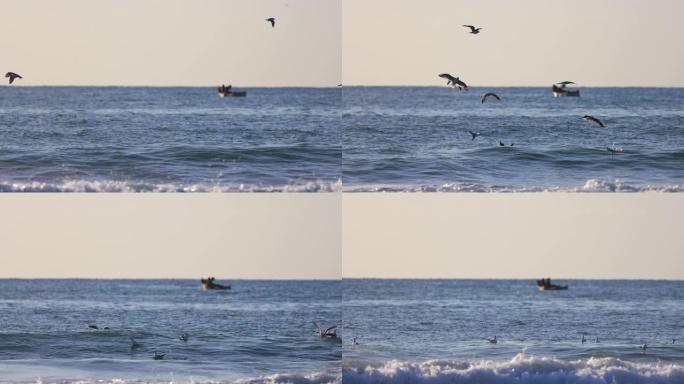 海鸥在海浪上方的天空中自由飞翔