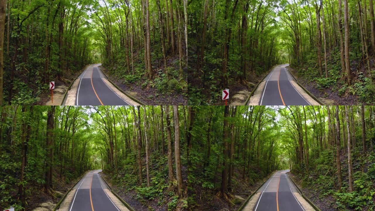 茂密的丛林森林中的沥青空狭窄道路。菲律宾薄荷岛人造森林