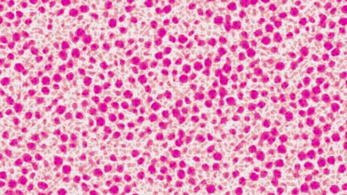 组织细胞模拟粉色光斑