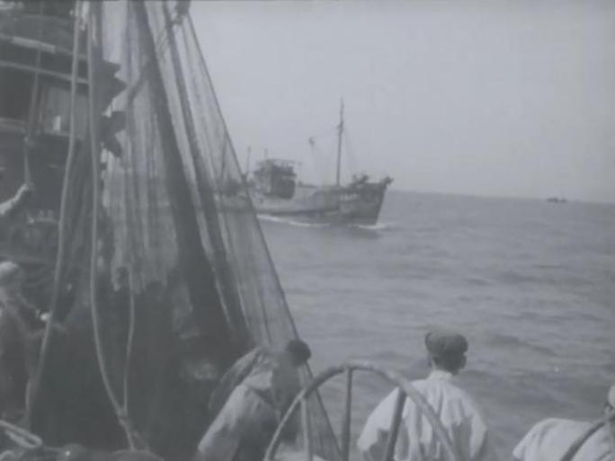 60年代 山东烟台捕鱼