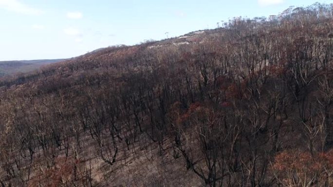 BM烧慢坡度烧山破坏森林