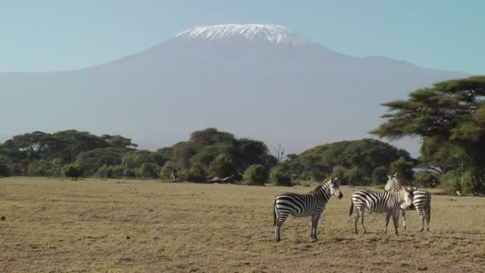 Mt kilimanjaro