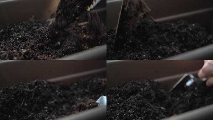 花园抹子在长播种机箱中混合土壤的特写镜头