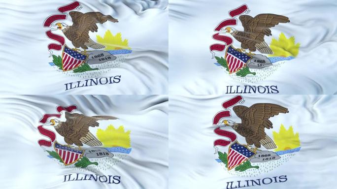 伊利诺斯州(美国)的旗帜在风中飘扬，有着非常详细的织物纹理。无缝循环