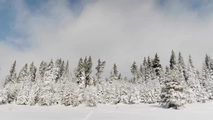 时间流逝，在白雪的冬季景观中记录。