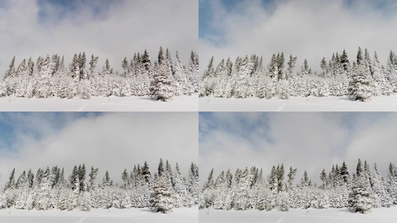 时间流逝，在白雪的冬季景观中记录。