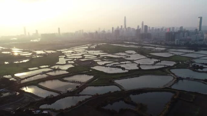 美丽的日落与中国深圳的天际线