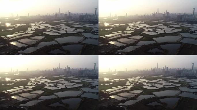 美丽的日落与中国深圳的天际线