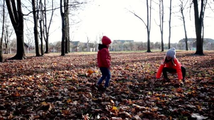 快乐，美丽的孩子玩秋叶。季节性户外活动，散步时的健康生活方式